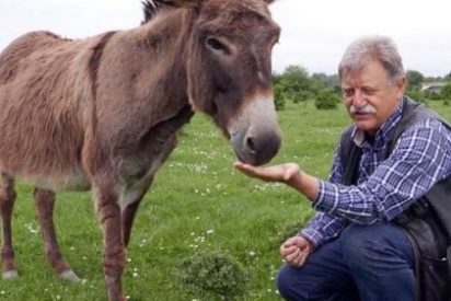 El queso m&aacute;s caro del mundo est&aacute; hecho de leche de&hellip;