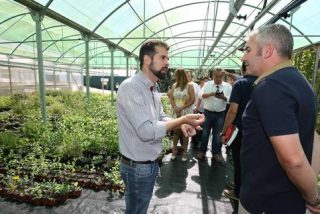 Tudanca reclama medidas urgentes para quemar carb&oacute;n nacional