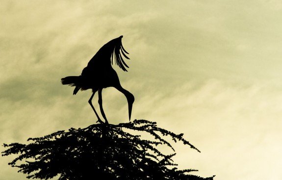 Versos para orar en verano