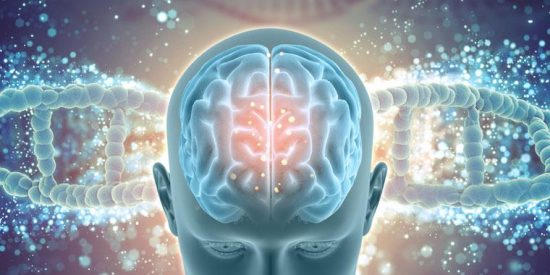 Test de inteligencia: &iquest;Te atreves a medir lo listo que eres?