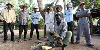 Cine dominicano promociona al país caribeño como destino cinematográfico