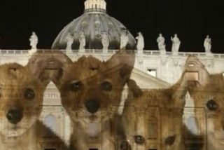 "Julia y el lobo": las v&iacute;ctimas de abusos reciben el abrazo del Papa