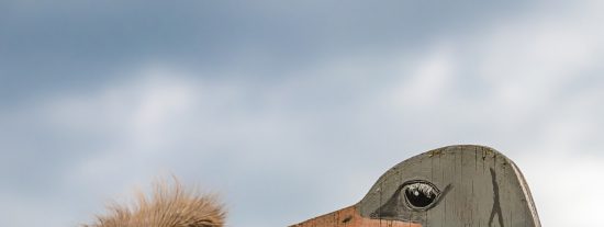 Las 10 mentiras que te sigues tragando sin rechistar