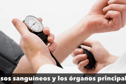 M&aacute;s de mil millones de personas padecen hipertensi&oacute;n en el mundo