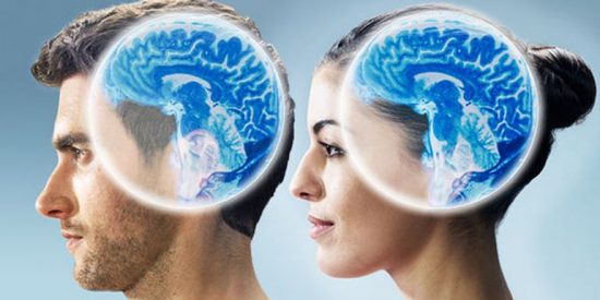 Cerebro y diferencias entre el hombre y la mujer.