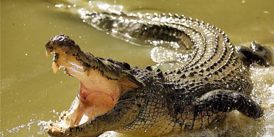 Pron&oacute;stico del Tiempo: fresco, triste y con vacuna este 10 de noviembre de 2020