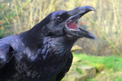 Pron&oacute;stico del Tiempo: una d&iacute;a para asarse de calor este 17 de julio de 2021