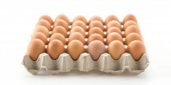 El mont&oacute;n de cosas que puedes hacer con una caja de huevos usada