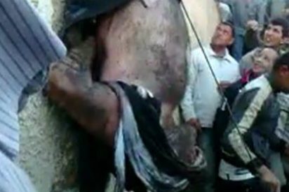 [V&Iacute;DEO] El linchamiento de un ratero cabeza abajo por una hist&eacute;rica horda musulmana