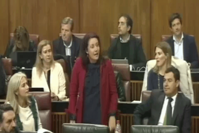 El presidente del Parlamento de Andaluc&iacute;a destroza la lengua espa&ntilde;ola