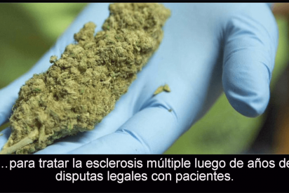 Por primera vez, Brasil permite vender medicinas a base de marihuana