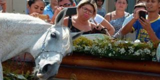 [V&Iacute;DEO] El caballo que llora desconsolado sobre el ata&uacute;d de su querido due&ntilde;o