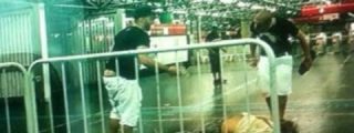 As&iacute; matan a patadas al vendedor ambulante en el metro por defender a un travesti