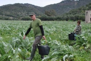 Diego Ca&ntilde;amero presume de trabajar un d&iacute;a en el campo, lo tuitea y le masacran en Twitter