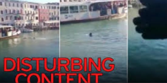 As&iacute; se ahoga en el Gran Canal de Venecia un africano al que cubren de insultos