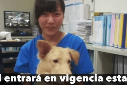 La terrible historia de la veterinaria que se suicid&oacute; con el mismo medicamento con el que sacrificaba a los perros