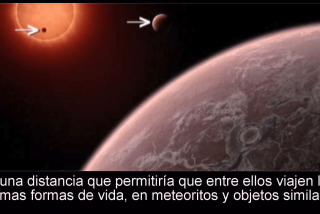 TRAPPIST-1: corta distancia entre planetas facilitar&iacute;a que alberguen mismas formas de vida