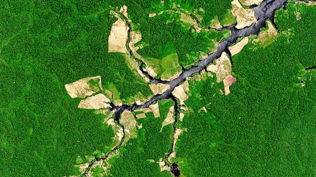 Amazonas