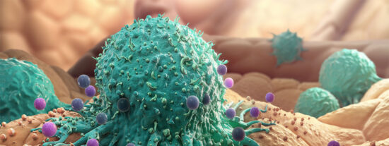El costo de la inmortalidad: la sorprendente &ldquo;eternidad&rdquo; de las c&eacute;lulas cancerosas