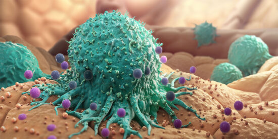 El costo de la inmortalidad: la sorprendente &ldquo;eternidad&rdquo; de las c&eacute;lulas cancerosas