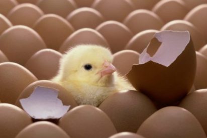 Pron&oacute;stico del Tiempo: Espa&ntilde;a se estabiliza tras el paso de frentes lluviosos este mi&eacute;rcoles 14 de enero de 2026