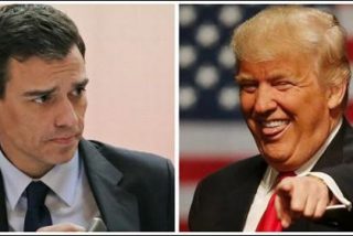Twitter se troncha de Pedro S&aacute;nchez por su bravata a Donald Trump