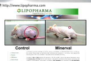 As&iacute; lograron detener a los dos catedr&aacute;ticos que vend&iacute;an un 'milagro' para curar el c&aacute;ncer