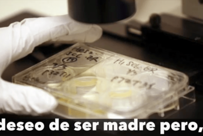 &iquest;Qu&eacute; se hace con los embriones que no se usan despu&eacute;s de un tratamiento de fertilidad?