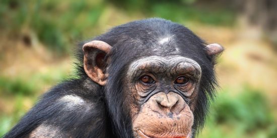 Pron&oacute;stico del Tiempo en Espa&ntilde;a: calor, cielos despejados y pocas lluvias este lunes 4 de agosto de 2025