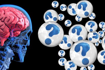 &iquest;Sabes c&oacute;mo crea el cerebro humano los recuerdos y d&oacute;nde los guarda?