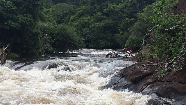 Pablo Gonz&aacute;lez: "A r&iacute;o revuelto ...... "