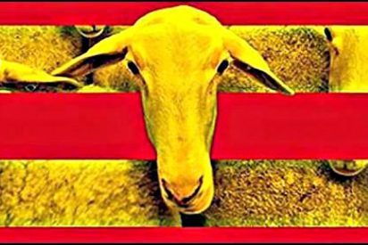 El municipio catalán traduce sus señales al castellano porque pierde todas las multas