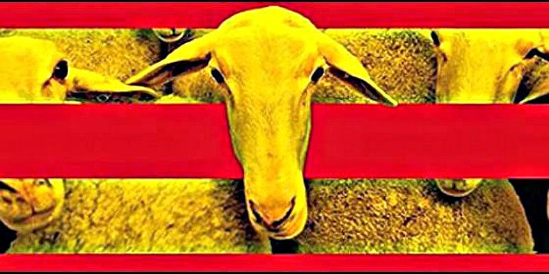 La calidad democr&aacute;tica de Catalu&ntilde;a est&aacute; al nivel de los reg&iacute;menes totalitarios