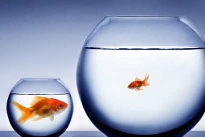 Israel de la Rosa: "La envidia"