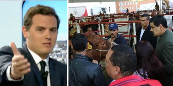 Rivera apalea al dictador Maduro, que habla más con las vacas que con la gente