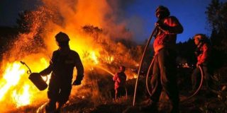 ¡Abrasados en sus coches! Las apocalípticas imágenes del incendio de Portugal a vista de dron