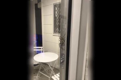 La gigantesca ara&ntilde;a 'Harry Potter' que causa el p&aacute;nico en una casa