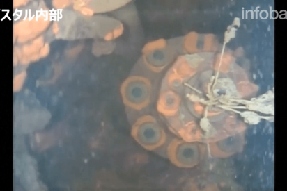 Lo que este robot submarino descubri&oacute; en la central nuclear de Fukushima sorprendi&oacute; a los cient&iacute;ficos