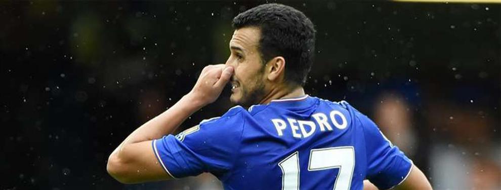 Pedro sufre m&uacute;ltiples fracturas en la cara