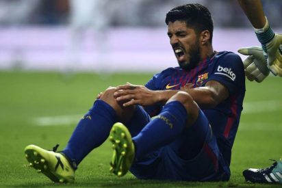 Festeja Samapaoli: Luis Su&aacute;rez no jugar&aacute; contra Argentina