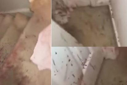 [V&Iacute;DEO] Una familia se encontr&oacute; con escena de terror al volver a su casa: "Sangre por todos los lados"