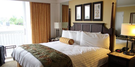 Los hoteleros denuncian p&eacute;rdidas millonarias por falsas denuncias