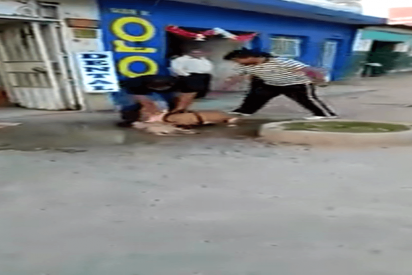 Un Pitbull mata a un perrito frente a la mirada impasible de su due&ntilde;o y decenas de espectadores