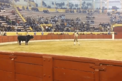 As&iacute; mata un toro al valiente forcado Fernando Quintela en una plaza de toros portuguesa