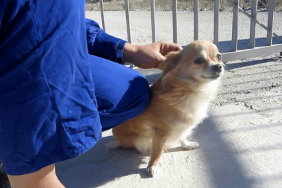 La edil de Podemos Marisol Moreno 'La Roja', se mofa de pobres y drogadictos en este video cutre