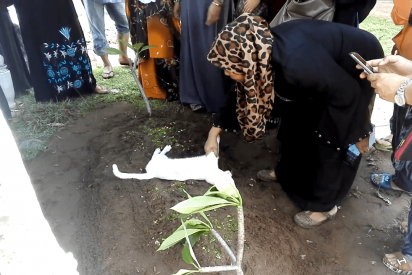 Este gato se niega a abandonar la tumba de su due&ntilde;o e incluso intenta cavarla