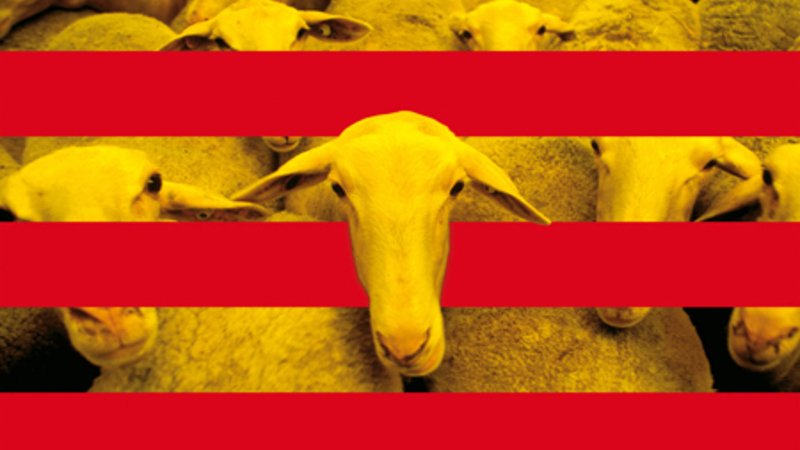 El Govern hace obligatorio acudir a la mesa electoral del refer&eacute;ndum ilegal si te llama como interventor