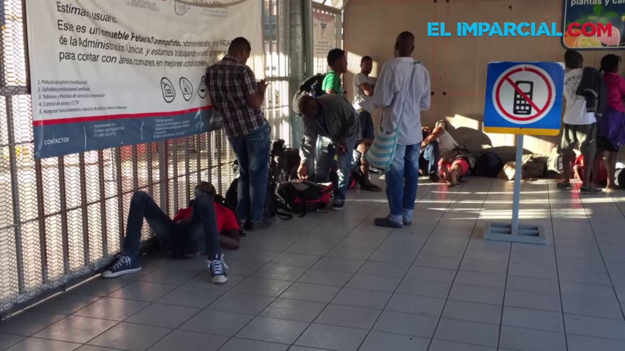 Rep&uacute;blica Dominicana incrementa deportaciones masivas de haitianos en situaci&oacute;n irregular