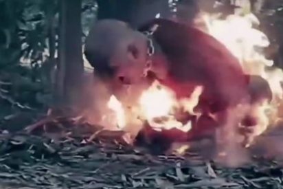 El v&iacute;deo m&aacute;s escalofriante del derrotado ISIS: 'Flames of War II'