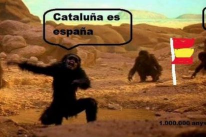 Las bestias separatistas que comparan a los espa&ntilde;oles con chimpanc&eacute;s: "Hay que echarlos a patadas"